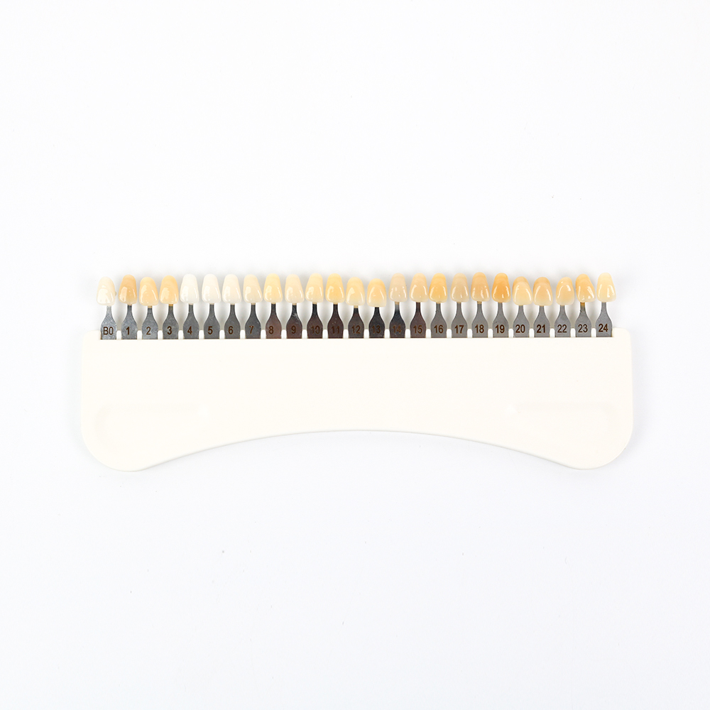 3D Teeth Whitening Shade Guide - Teeth Whitening Free review and price